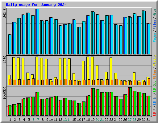 Daily usage for January 2024