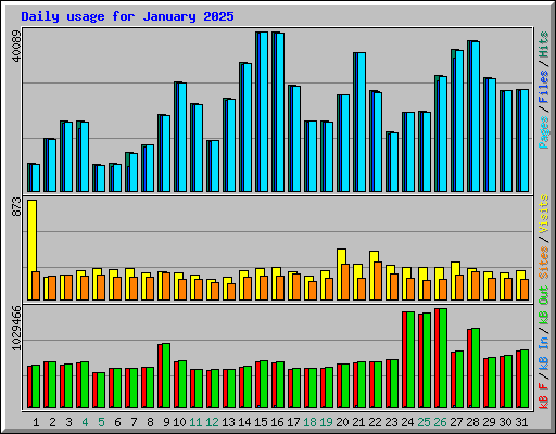 Daily usage for January 2025