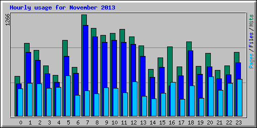 Hourly usage for November 2013