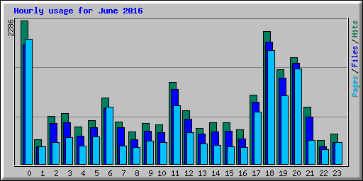 Hourly usage for June 2016