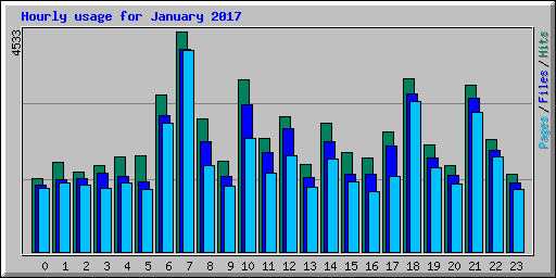 Hourly usage for January 2017