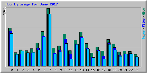 Hourly usage for June 2017