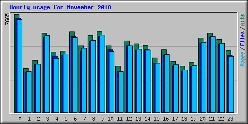 Hourly usage for November 2018