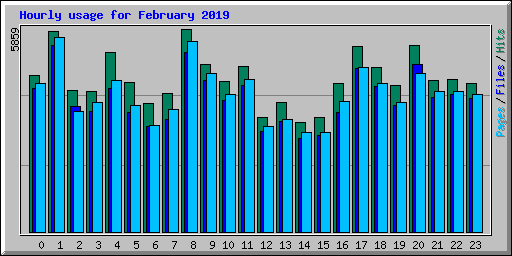 Hourly usage for February 2019
