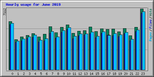 Hourly usage for June 2019