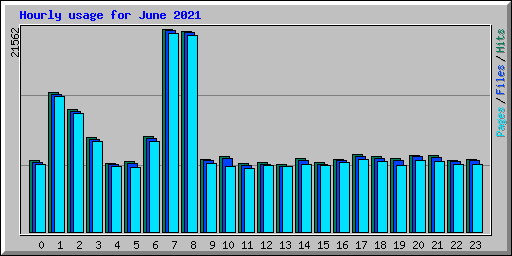 Hourly usage for June 2021