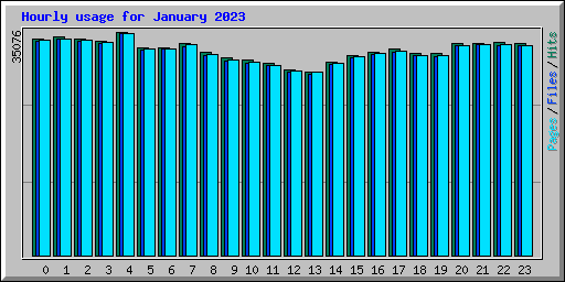 Hourly usage for January 2023