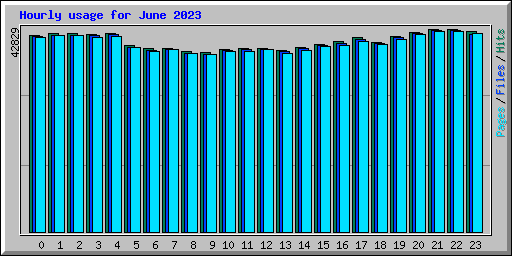 Hourly usage for June 2023