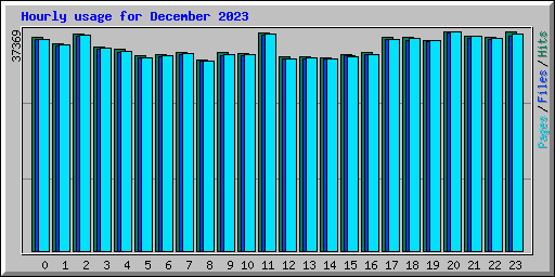 Hourly usage for December 2023