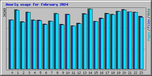 Hourly usage for February 2024