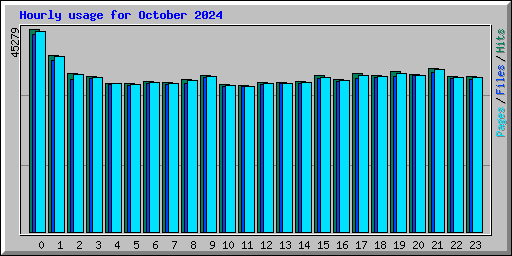 Hourly usage for October 2024