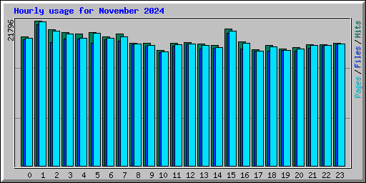 Hourly usage for November 2024