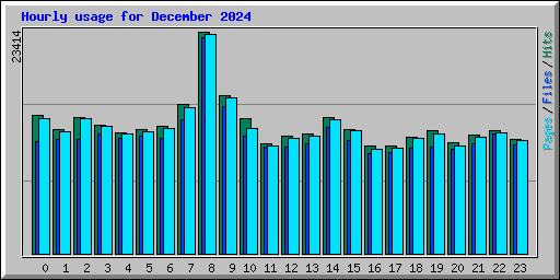 Hourly usage for December 2024