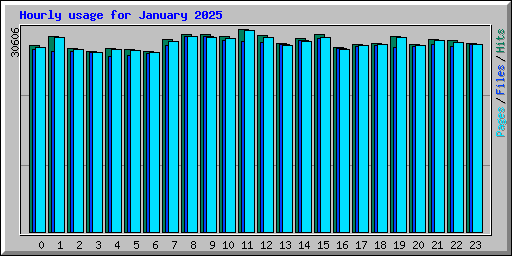 Hourly usage for January 2025