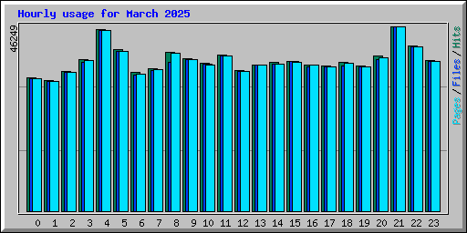 Hourly usage for March 2025