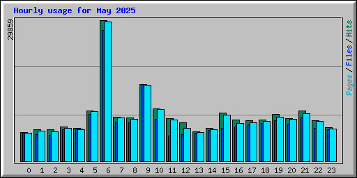 Hourly usage for May 2025