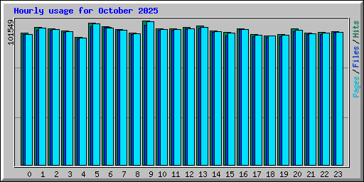 Hourly usage for October 2025