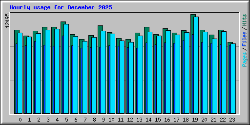 Hourly usage for December 2025
