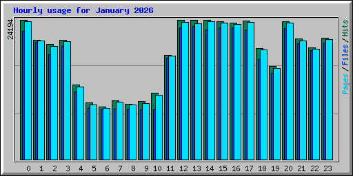 Hourly usage for January 2026