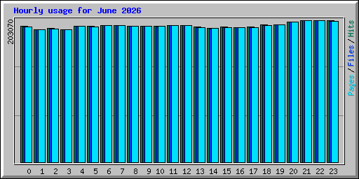 Hourly usage for June 2026